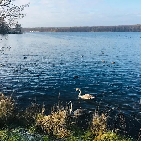 アパート An Der Glocke *